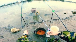 Вечерняя рыбалка на Кубани,густера клюёт одна за одной.