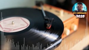 DJ СИНИЦЫН - Диджей, смени пластинку 2025