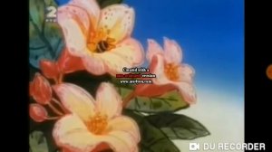 Maya the Bee (1975) Intro Serbian (RTS 2)