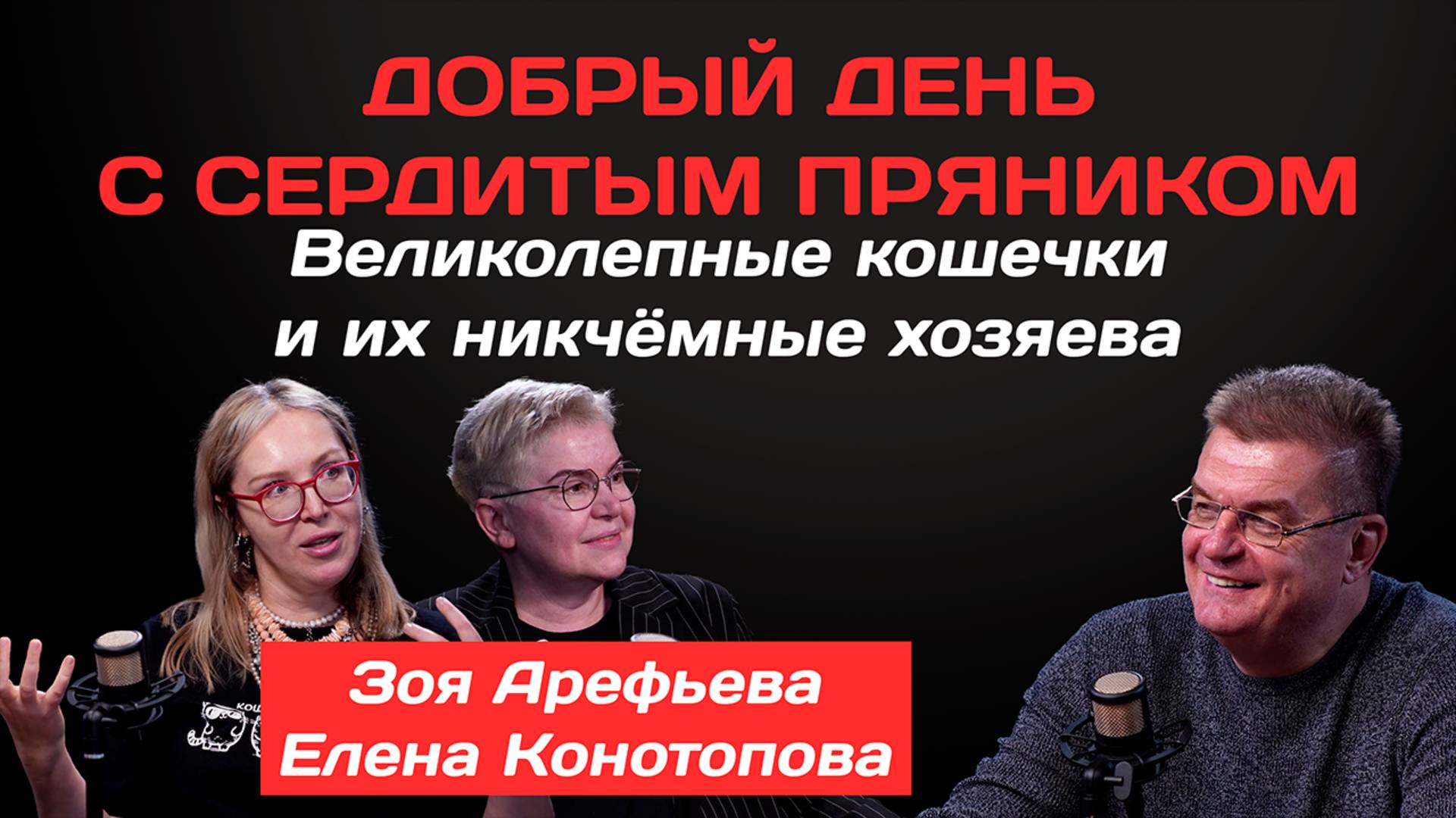 Зоя Арефьева: великолепные кошечки и их никчёмные хозяева | Добрый день с Сердитым пряником