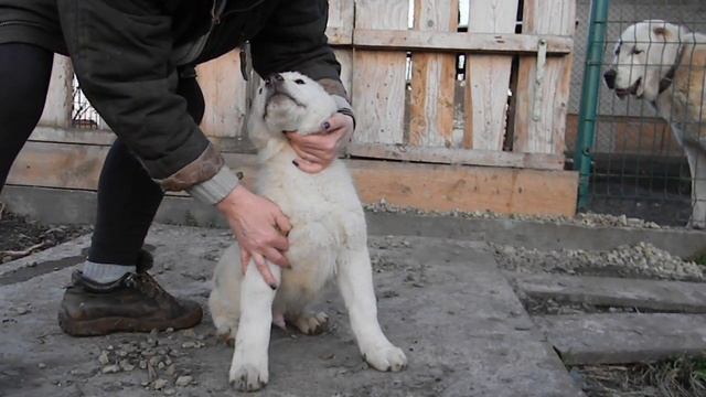Арман Та-Худжа, 2 1 м смотреть онлайн