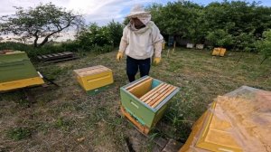 Постановка третьего корпуса в улье! Расширение пчёл! Корпусная система! Майский мед!