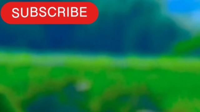 अध्याय 1 श्लोक 9 #krishnastatus #krishna #krishnaquotes #ytshorts #spritual