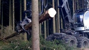 Универсальная машина для вырубки леса. 4 в 1