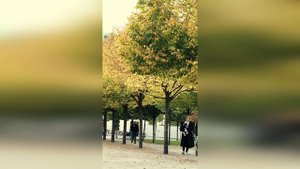 Аренский на слова Фета «Осень», Arensky, Иван Зиновьев, Виктория Васильченко