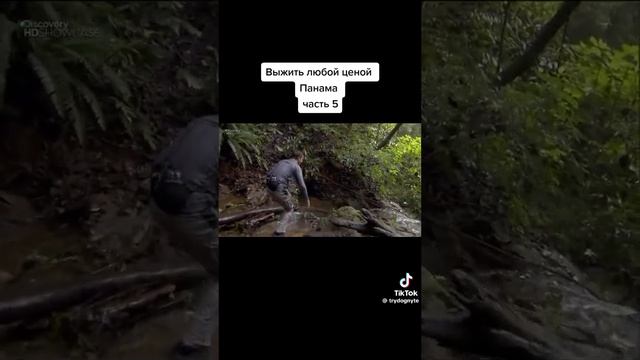 выжить любой ценой продолжение