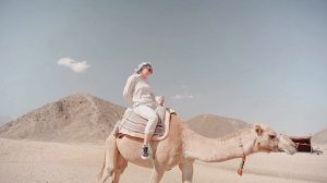 7321210-hd_1920_1080_30fps