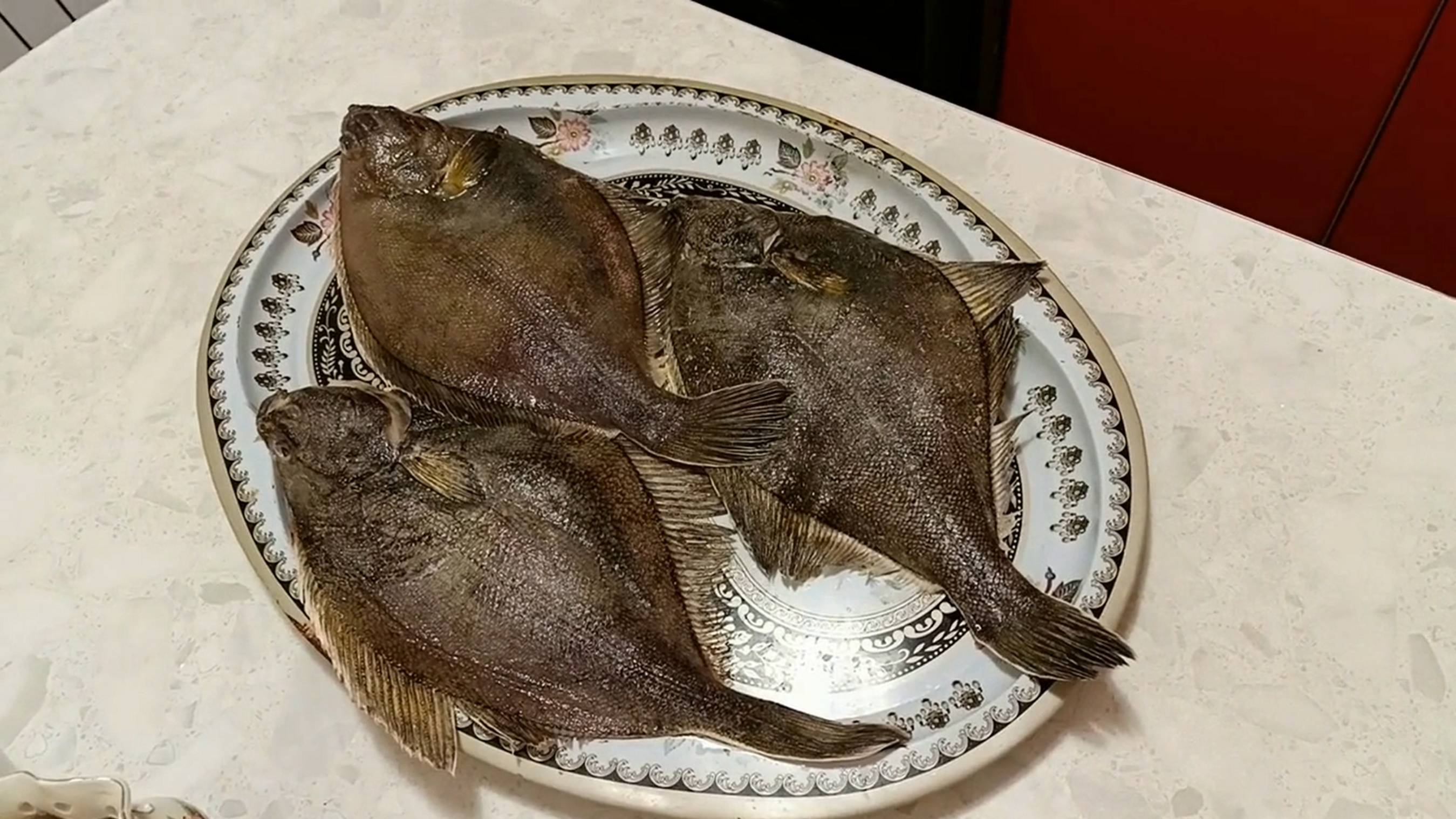 Камбала