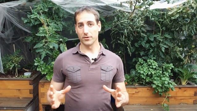 Aquarium into Aquaponics смотреть онлайн