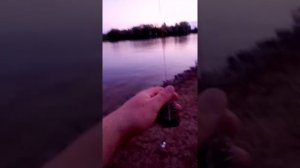 Ловля леща на пенопласт.