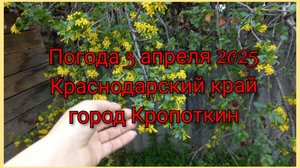 Погода 3 апреля 2025 Краснодарский край город Кропоткин