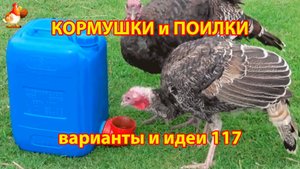 Кормушки и поилки для кур своими руками (117) 🪚✂️ Пошаговая инструкция как сделать 🐔 🐓❣️