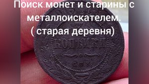 поиск монет с металлоискателем у старой деревни.