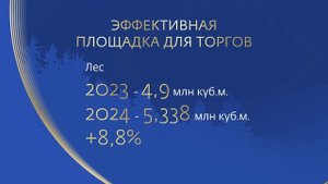 Петербургская Биржа. Итоги 2024