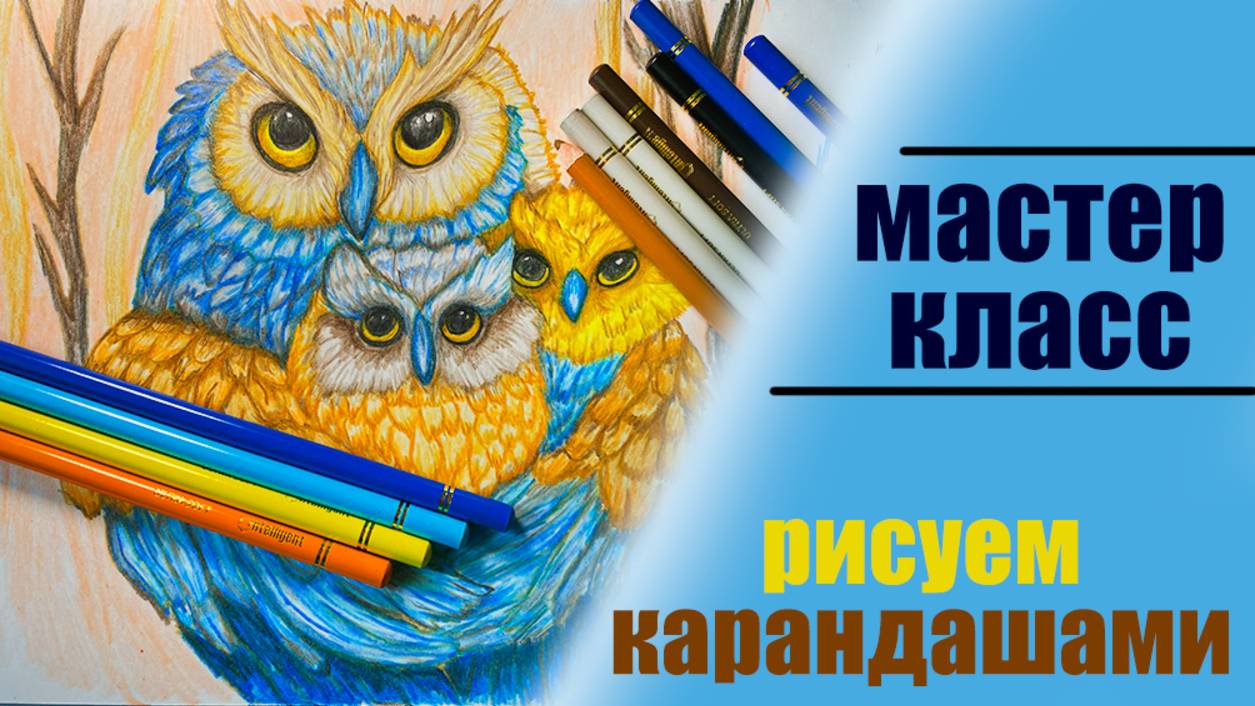 Как нарисовать сову с совятами / Рисуем вместе карандашами смотреть онлайн