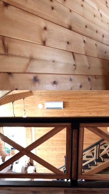 Кедр на стене #shorts смотреть онлайн