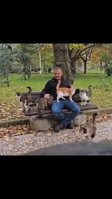Кототерапия)))