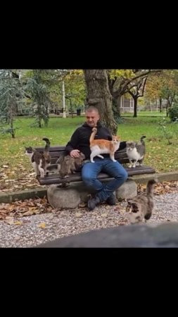 Кототерапия)))