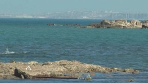 Рекордное обмеление Каспийского моря в Азербайджане