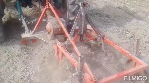 Трактор Дт-20 с картофовадачка( картофелекопалка) DT 20" HTZ