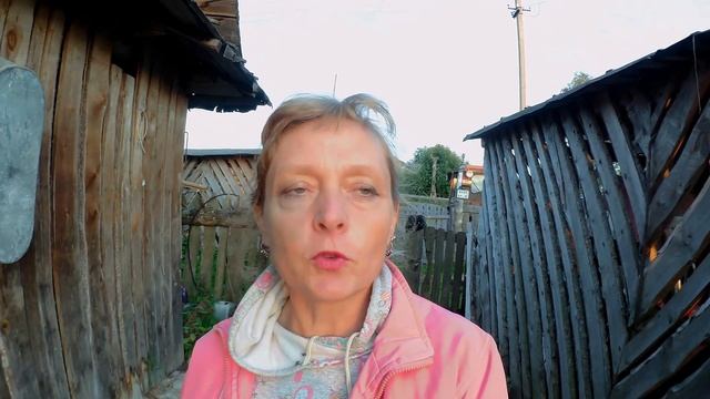 Попрошайки ютуба