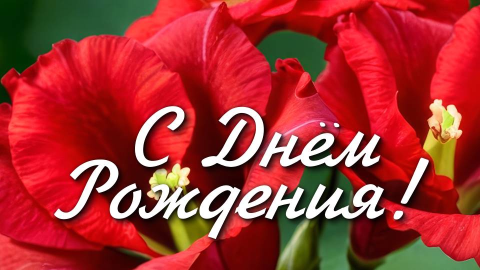 С ДНЁМ РОЖДЕНИЯ ! Шикарная песня! Самое красивое поздравление для женщины!