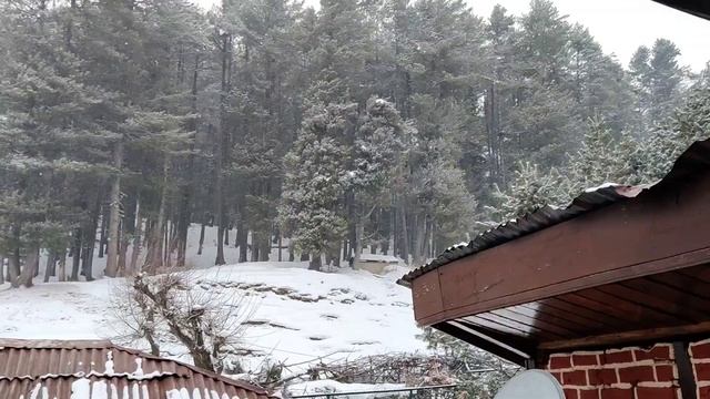 Epic Stay with Snowfall at Hotel Heevan Pahalgam Kashmir 🌨️🏔️