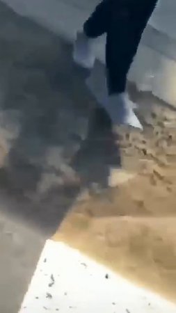 Птичку жалко.