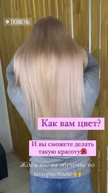 18 ноября 2023 г.