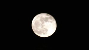 NASA повысило вероятность столкновения Луны с астероидом в 2032 году