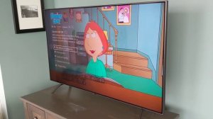 Samsung Q8FN (Q8/Q8F) 2018 TV Real Owner Review