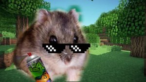 почему меня выкинуло?