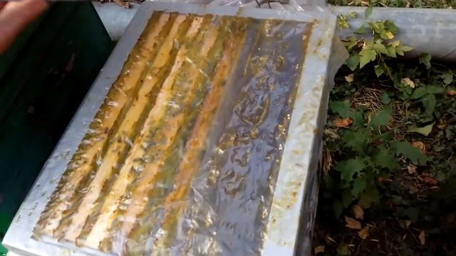 Отводки на 1 рамку расплода в эппс смотреть онлайн