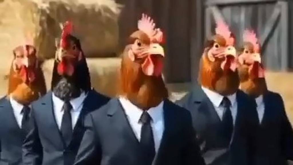 Петушиная пляска!