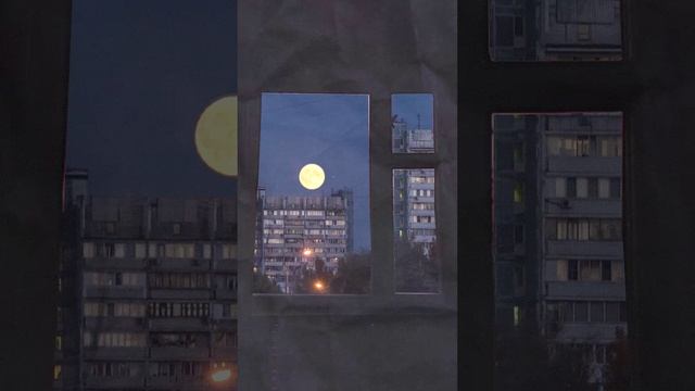 Брух — Закат / Brukh — Zakat