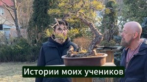 Как люди меняются благодаря бонсай? Истории моих учеников.