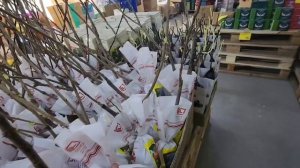 ПСИХАНУЛА🤪мать ВЫДАЛА😱моя ЛЮБИМАЯ запеканка ИЗ ДЕТСТВА🤗