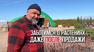 Как мы заботимся о ваших растениях даже после покупки!