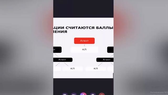 СВОЙ в АЛЬФЕ. Маркетинг новый с марта 2024 г. полный РАЗБОР. Преимущества. ЗАРАБОТОК БЕЗ ВЛОЖЕНИЙ