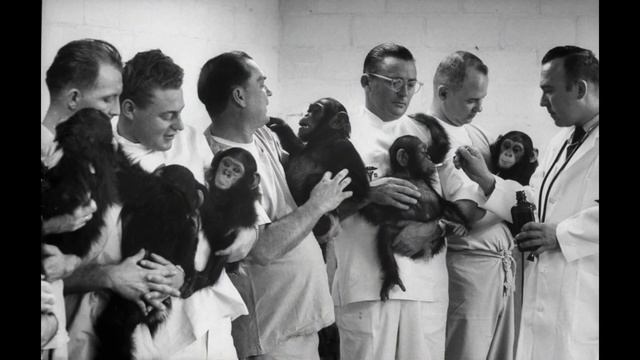 Животные в космосе: Истории первых космонавтов смотреть онлайн