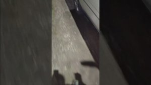 проблемы с АКПП nissan presage U30