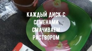 Какие препараты использую при замачивании семян