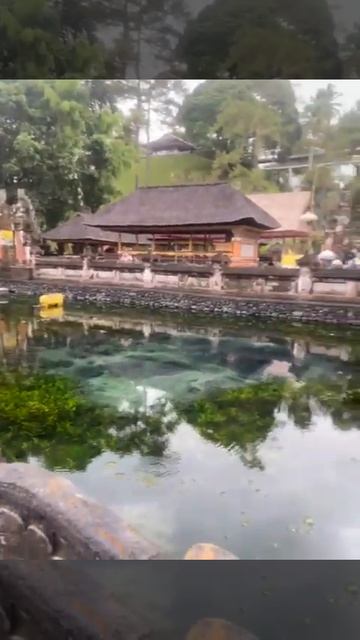 2/17 Tirta Empul underground springs #2 смотреть онлайн