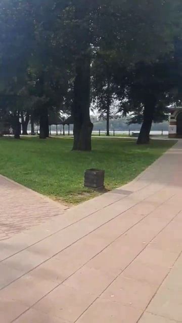 Церковь Димитрия на Крови, Спасо-Преображенский собор