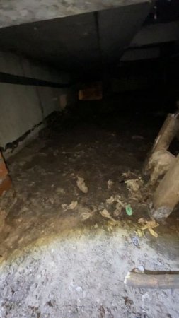 Кто не смотрел мое видео со вчерашней комиссии, покажу что творится прямо под мусорокамерой