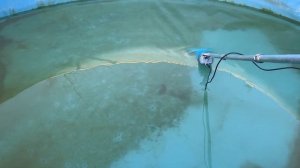 Насос (пылесос) для чистки бассейна