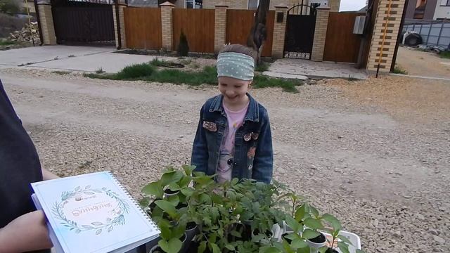 Первые заработанные деньги.