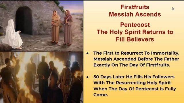 The Kingdom Calendar "God's Plan Revealed in His Seven Festivals"