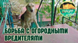 Борьба с вредителями