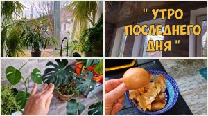 Не тут-то было. Убила руки. Готовлюсь к Пасхе.